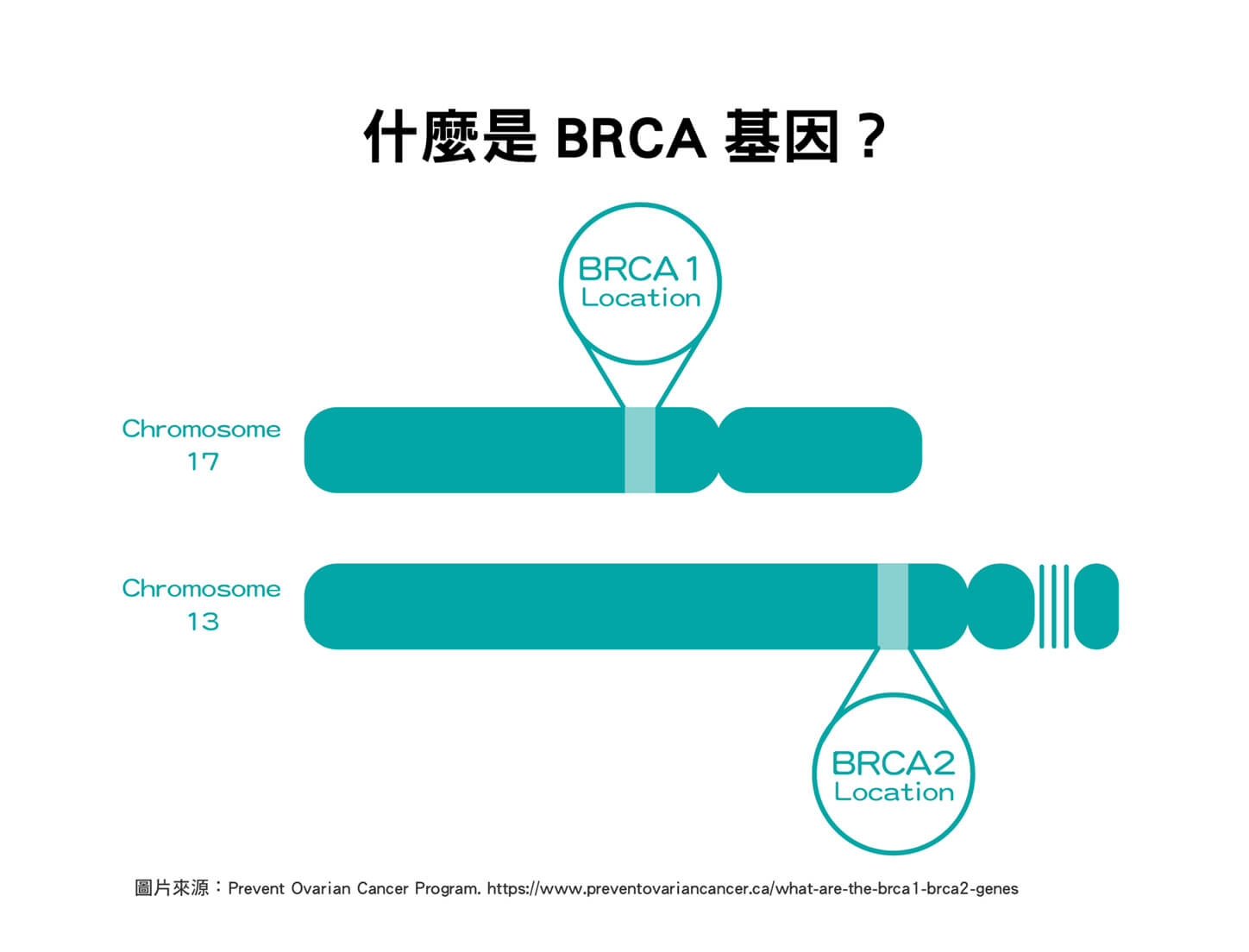 科技魅癮｜顛覆你對醫療的想像，走進精準健康的世界